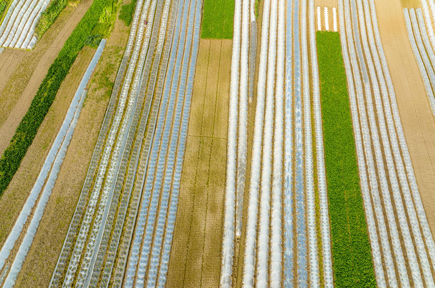 ؑcϴдץr(nng)r(sh)_չNo(j)?ci)z