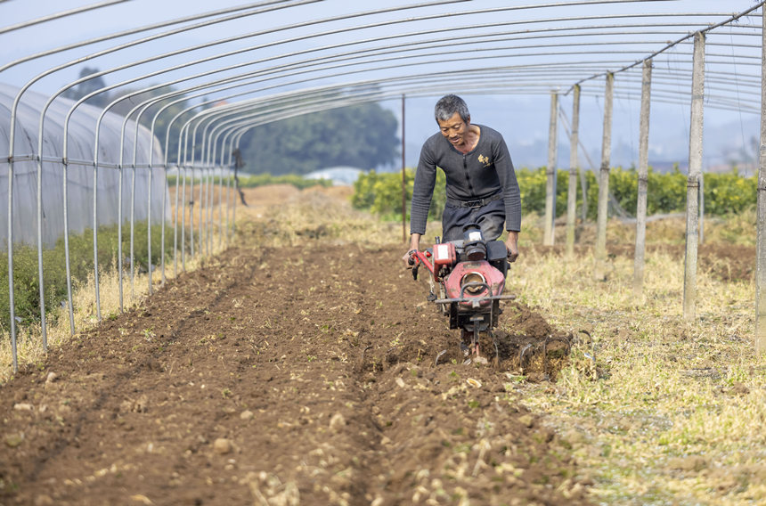 ؑcϴдץr(nng)r(sh)_չNo(j)?ci)z