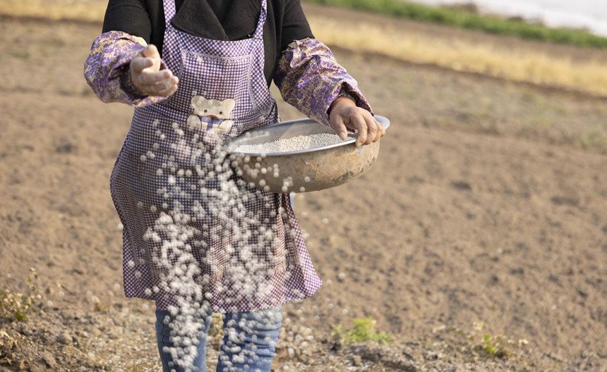 ؑcϴдץr(nng)r(sh)_չNo(j)?ci)z