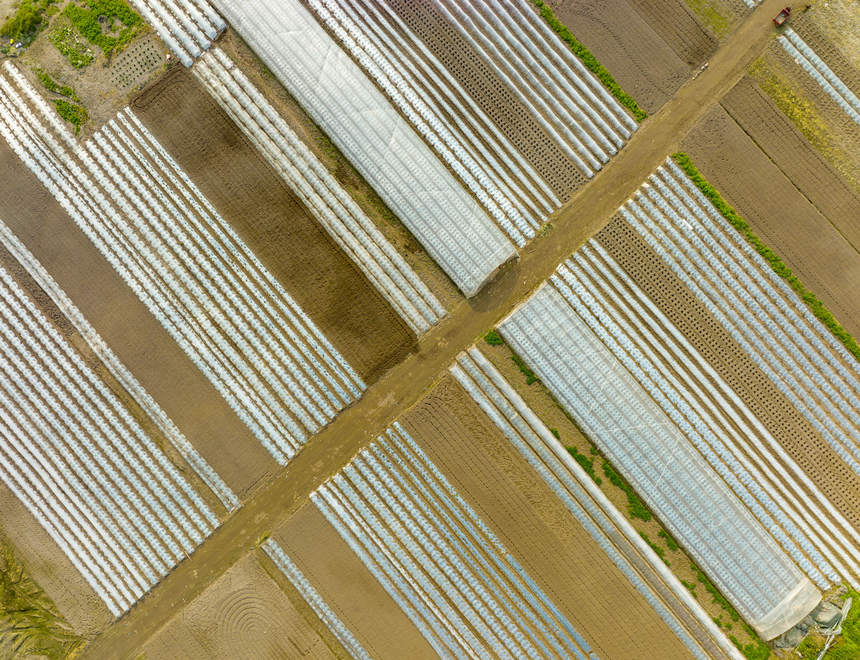 ؑcϴдץr(nng)r(sh)_(ki)չNo(j)?ci)z