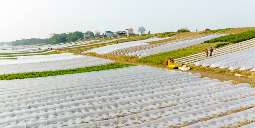 ؑcϴдץr(nng)r_չNo(j)?ci)z