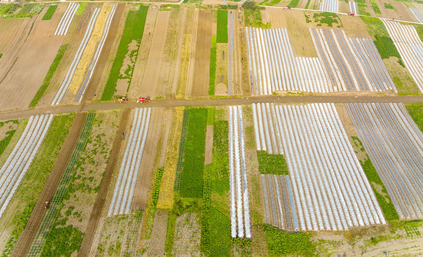 ؑcϴдץr(nng)r_չNoؔz