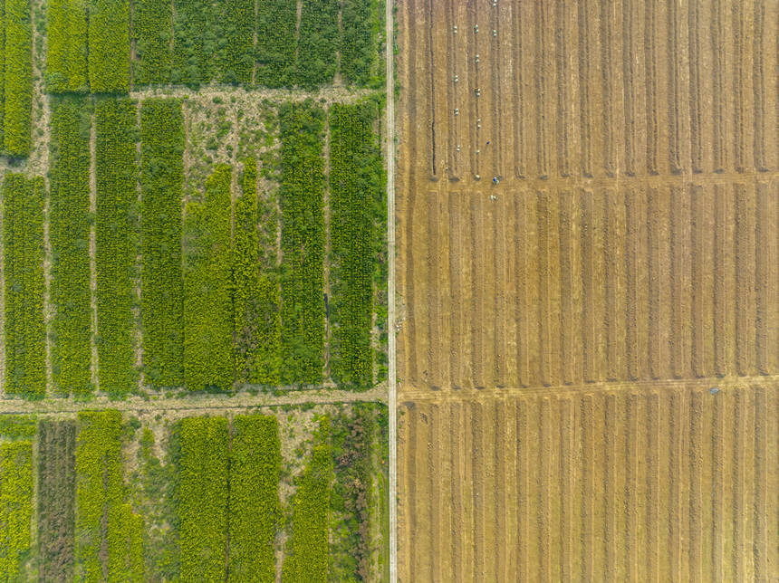 ؑcϴдץr(nng)r(sh)_չNo(j)?ci)z