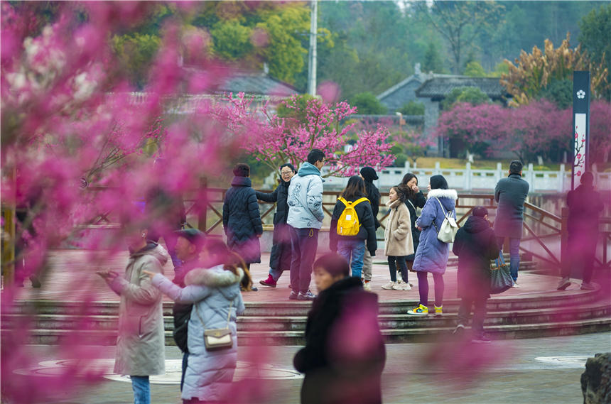 ÷@(ni)÷m(x)`˲οĽz