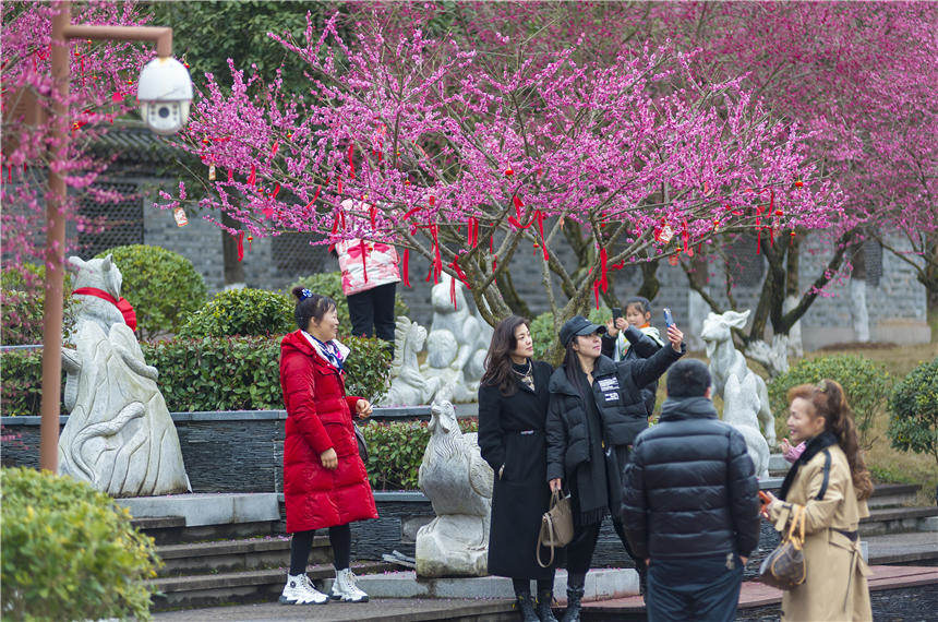 ؑcϴ^(q)^(zhn)÷@÷ʢ_(dng)?sh)οǰpz