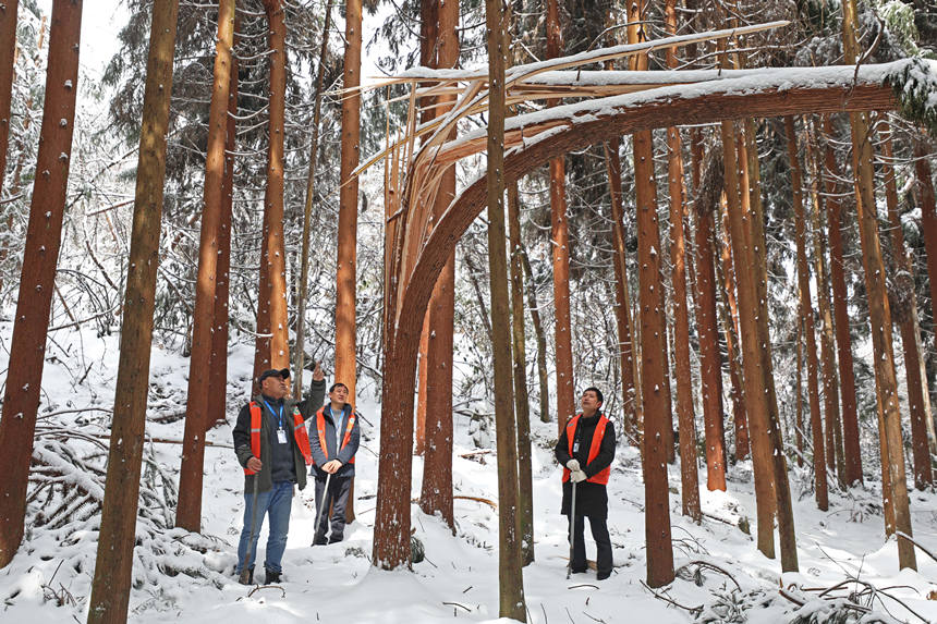 3oֆT鿴eѩĘľwz