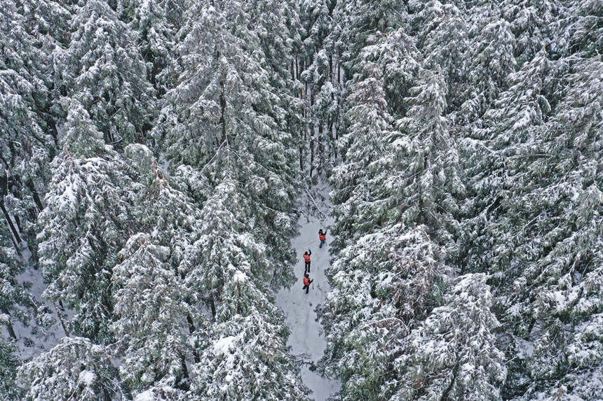 3o(h)ֆTðeѩօ^(q)Ѳwz