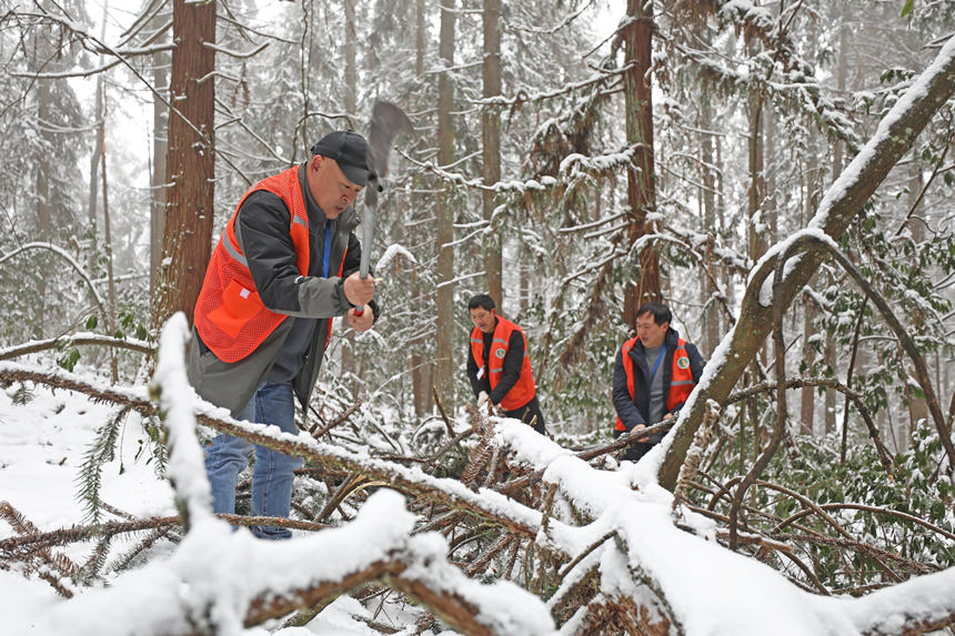 o(h)ֆTօ^(q)ȫwz