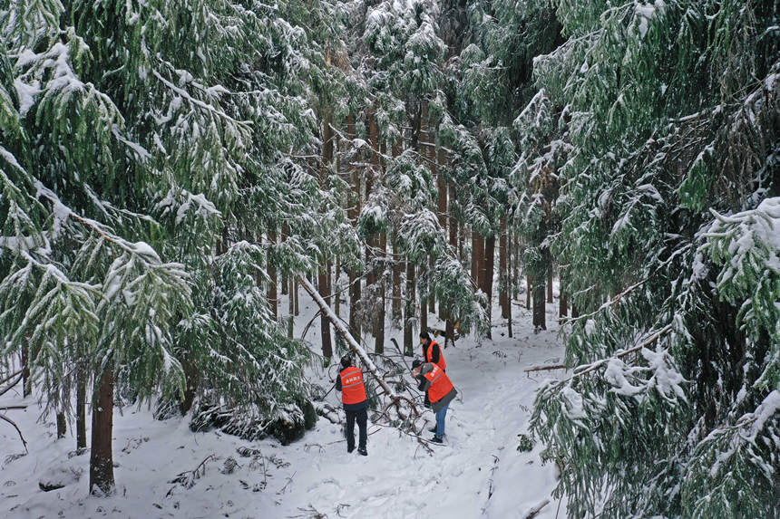 to(h)վo(h)ֆTrϱօ^(q)ȫwz