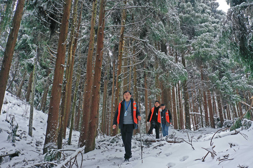 3o(h)ֆTօ^(q)Ѳo(h)wz