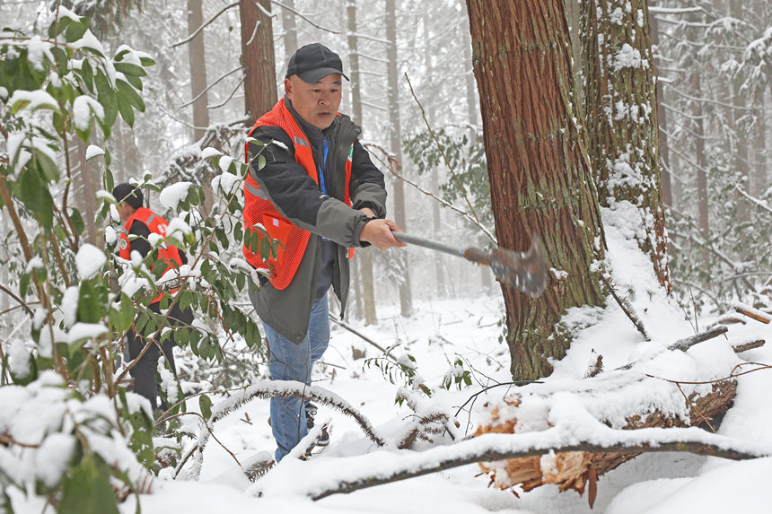 ȽСڲ鿴ľܓprwz