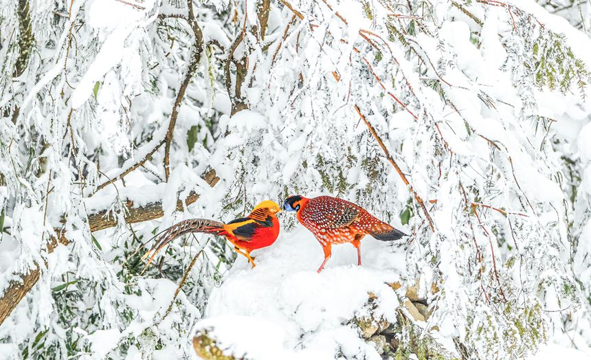 t\uB󣩺ͼtBңz