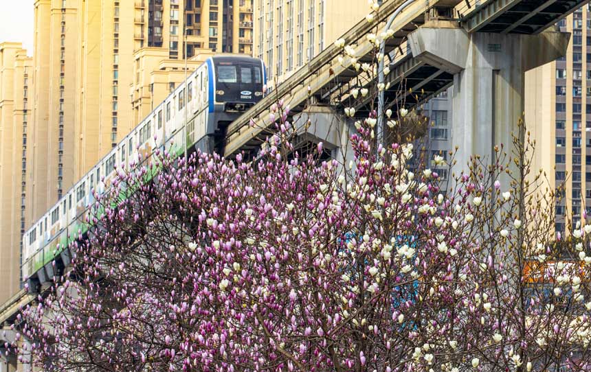 (li)p܉܇(ch)ڻСԽ(gu)һĴ쮋(hu)o(j)?ci)z