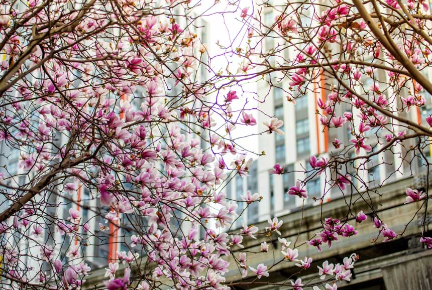 _M֦^m鴺һĨ`ӵĴɫo(j)ؔz