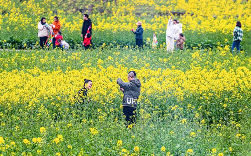 οؑcϴ^(q)|ǽֵ^(q)̤pz