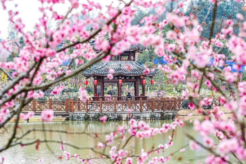 οؑcϴ^(q)÷A@(l)⡣z