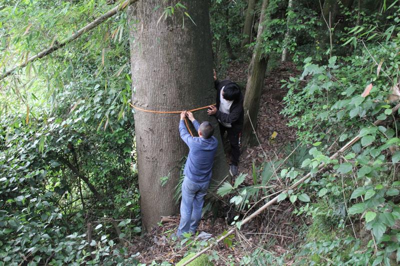 ؑcl(f)F(xin)ϡlΣN·ֲN232(g)2