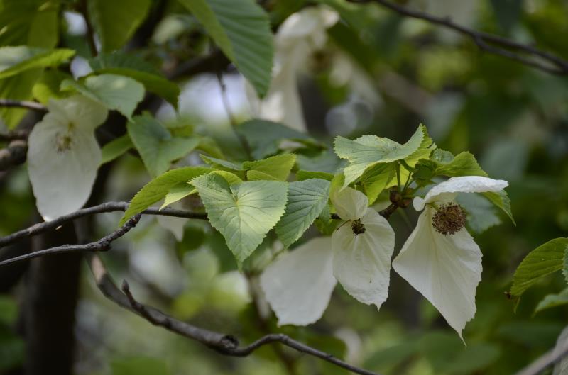 ؑcl(f)F(xin)ϡlΣN·ֲN2324