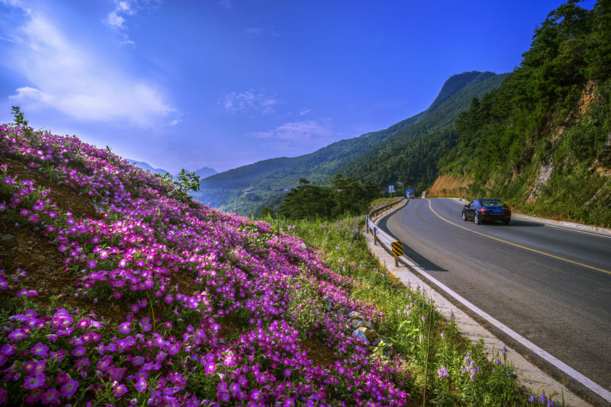 ·ϴů_(ki)^(q)ֹͨD