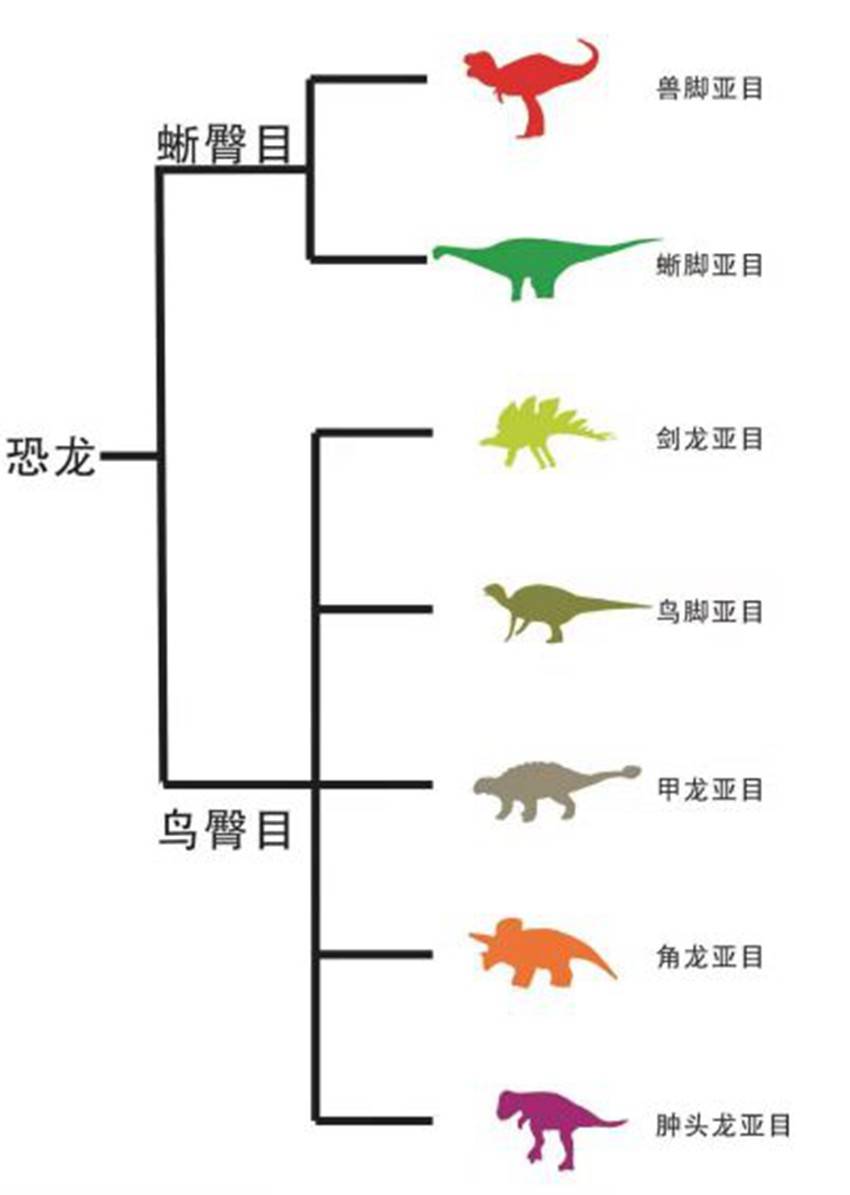 λÈDؑcҎ(gu)ȻYԴֹD