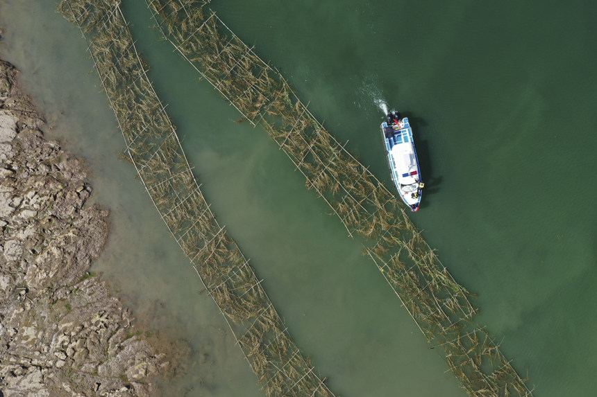 o(h)~(y)(du)TڬF(xin)(chng)Ѳ鲢(du)Ɠp~(y)M(jn)мr(sh)ޏ(f)͢z