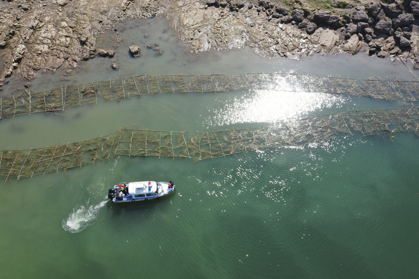 o(h)~(du)TڬF(xin)(chng)Ѳ鲢(du)Ɠp~M(jn)мr(sh)ޏ(f)͢z