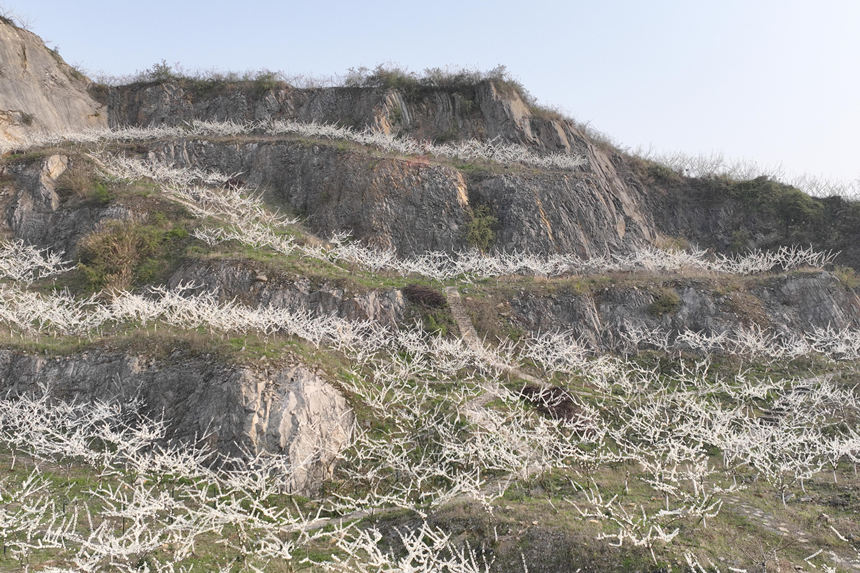 ؑcбՅ^(q)o^(gun)(zhn)A塰Vɽ@͢z