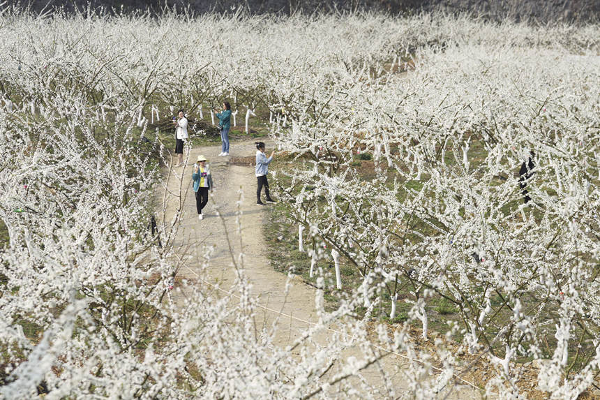 ؑcбՅ^(q)o^(zhn)A塰Vɽ@̤p͢z