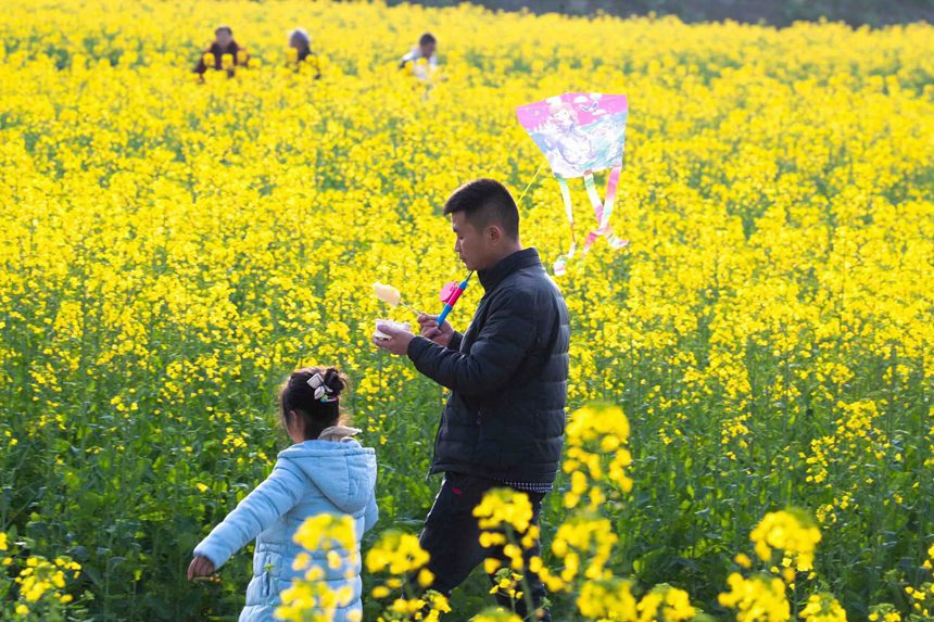 οؑcϴ^(q)|ǽֵ^(q)Ͳ˻pz