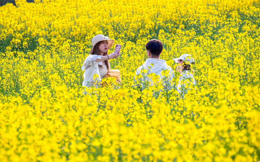 οؑcϴ^(q)|ǽֵ^(q)Ͳ˻pz