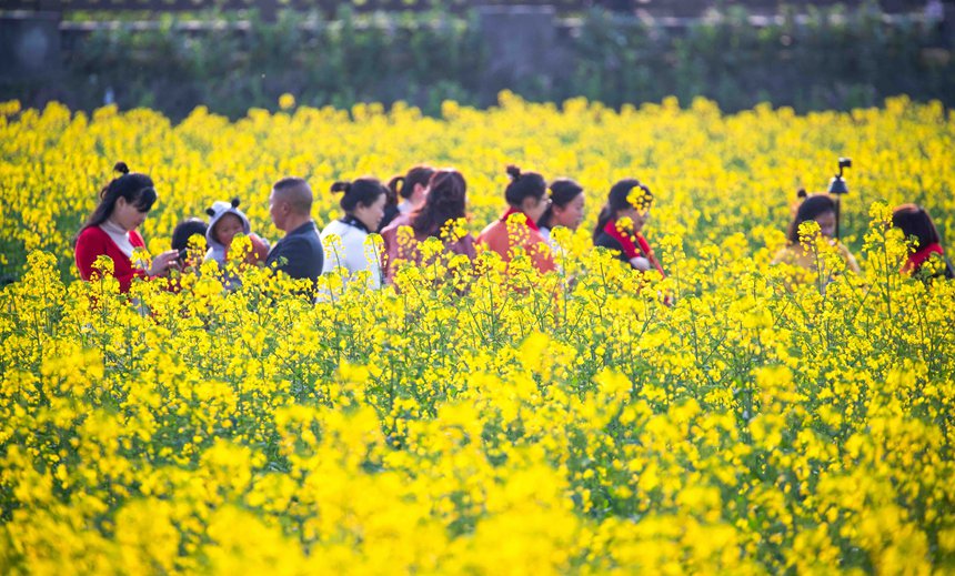 οؑcϴ^(q)|ǽֵ^(q)Ͳ˻pz