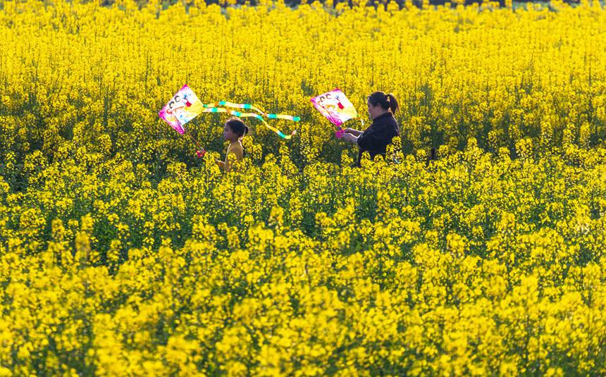 οؑcϴ^(q)|ǽֵ^(q)Ͳ˻pz