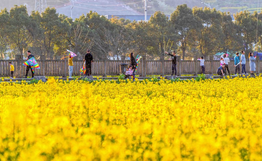 οؑcϴ^(q)|ǽֵ^(q)Ͳ˻pz