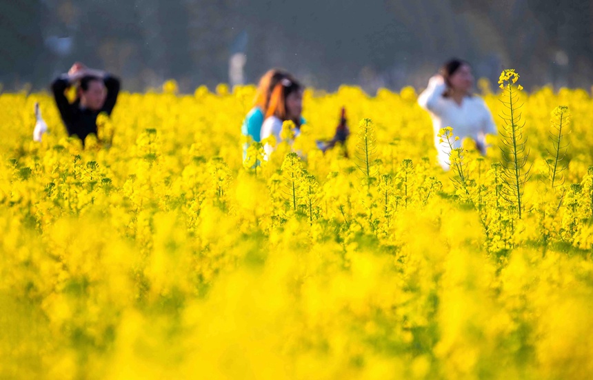 οؑcϴ^(q)|ǽֵ^(q)Ͳ˻pz