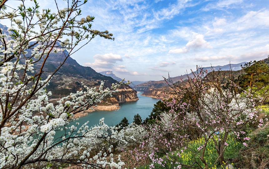 ؑcϴ^(q)ɽ(zhn)ԺǴɽ`ŵz