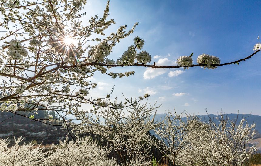 ؑcϴ^(q)ɽ(zhn)ԺǴɽ`ŵz