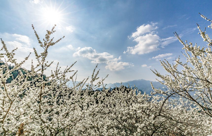 ؑcϴ^(q)ɽ(zhn)ԺǴɽ`ŵz