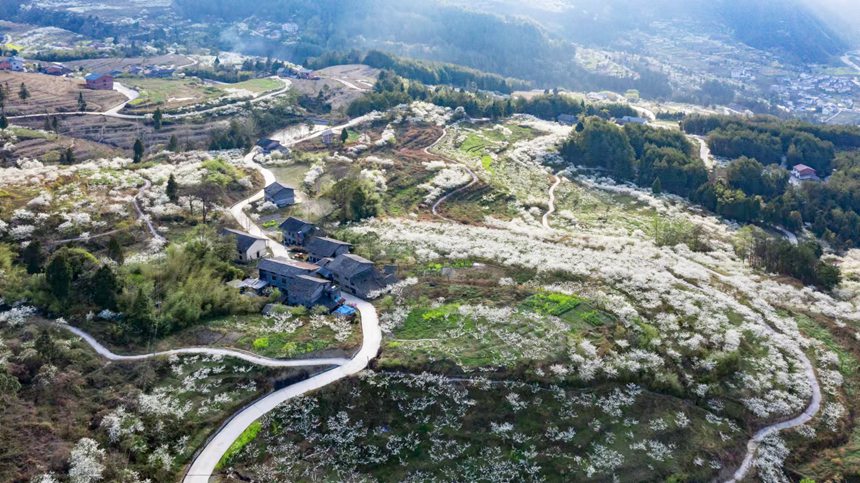 ؑcϴ^(q)ɽ(zhn)ԺǴɽ`ŵzo(w)˙C(j)ģ