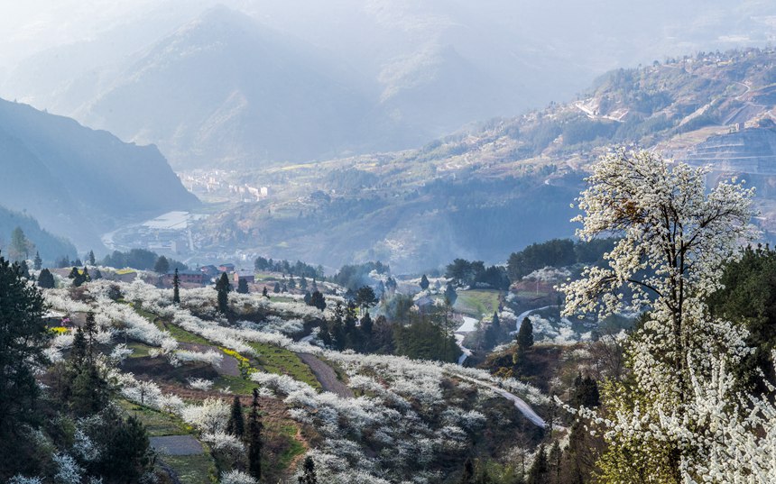 ؑcϴ^(q)ɽ(zhn)ԺǴɽ`ŵqzo˙Cģ