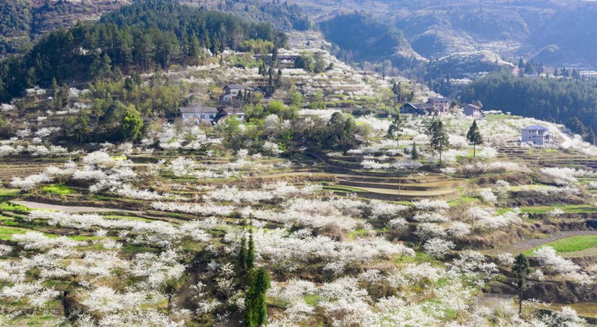 ؑcϴ^(q)ɽ(zhn)ԺǴɽ`ŵqzo(w)˙C(j)ģ