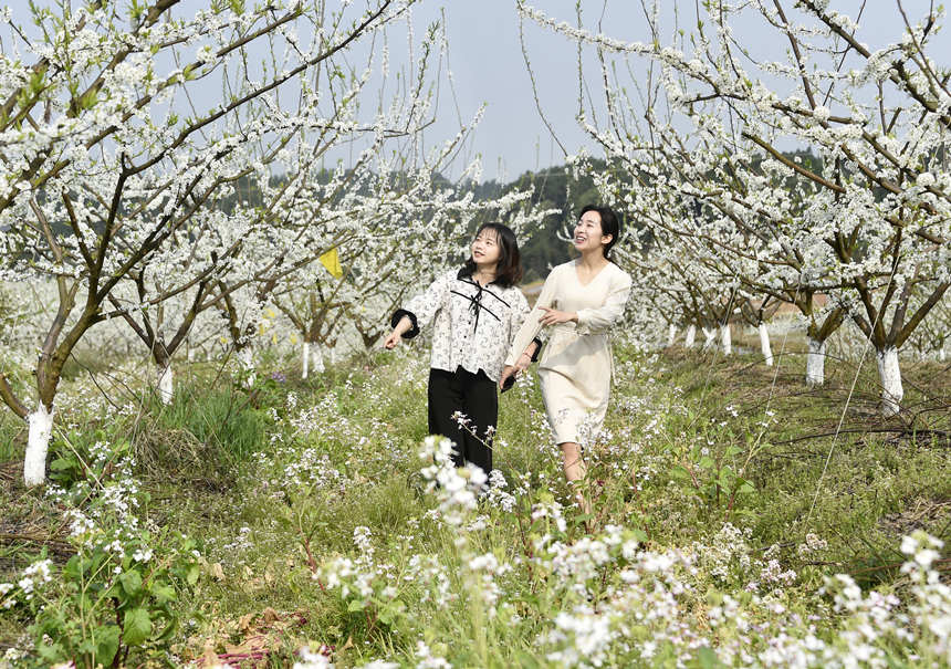 (zhn)_οĽSӔz