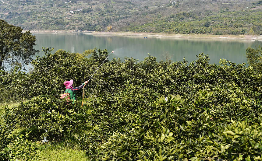 L߅G͵ĸ٘ϣSӔz