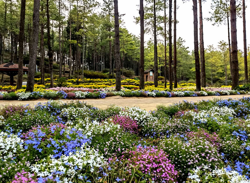 ľl(xing)»@r`SӔz