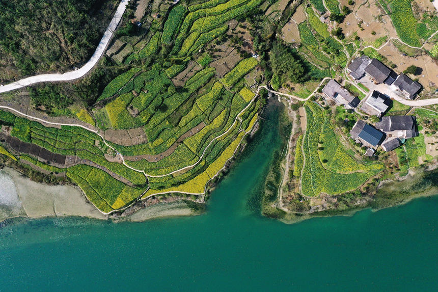 ؑcǭ^(q)(zhn)ƺ尢ϵL(fng)z