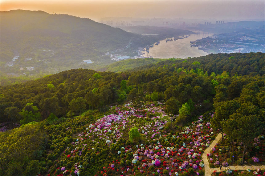 ÿ34ؑcϰ^(q)ţдƬĶNaʢ_z