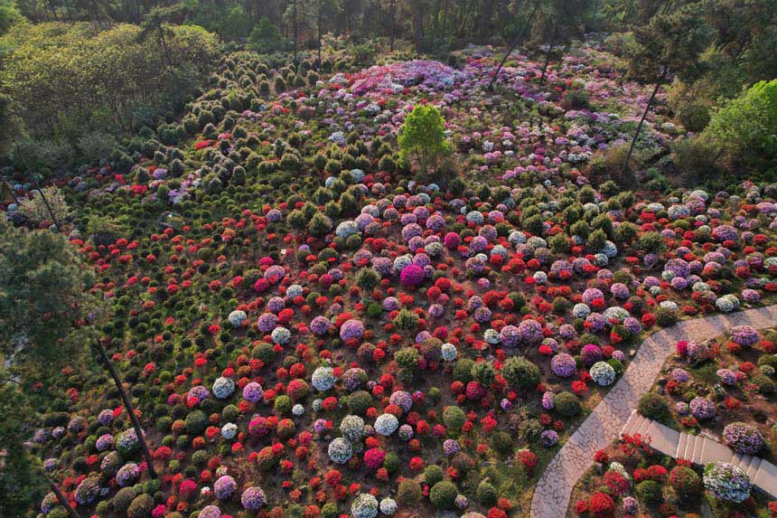 һش͵ĶNһɫĴĢHЩGҰۙζz