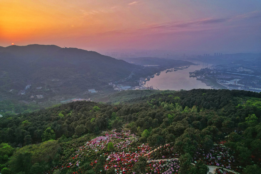 ÿ34ؑcϰ^(q)ţдƬĶNaʢ_z