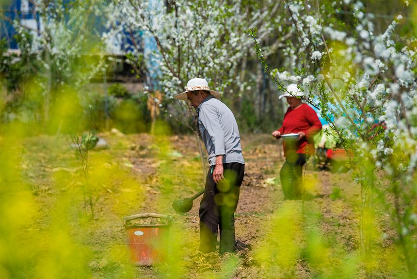 r(nng)ץr(nng)r(sh)ӾoNGz