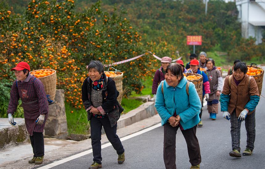 С(zhn)\(yn)¼tGz