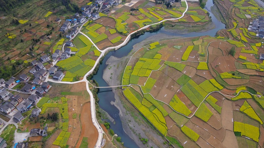 ؑcɽhϪ(zhn)l(xing)L(fng)̔z